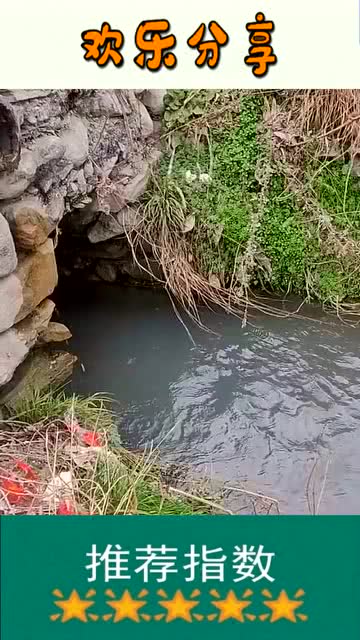 最原始的水力发电机